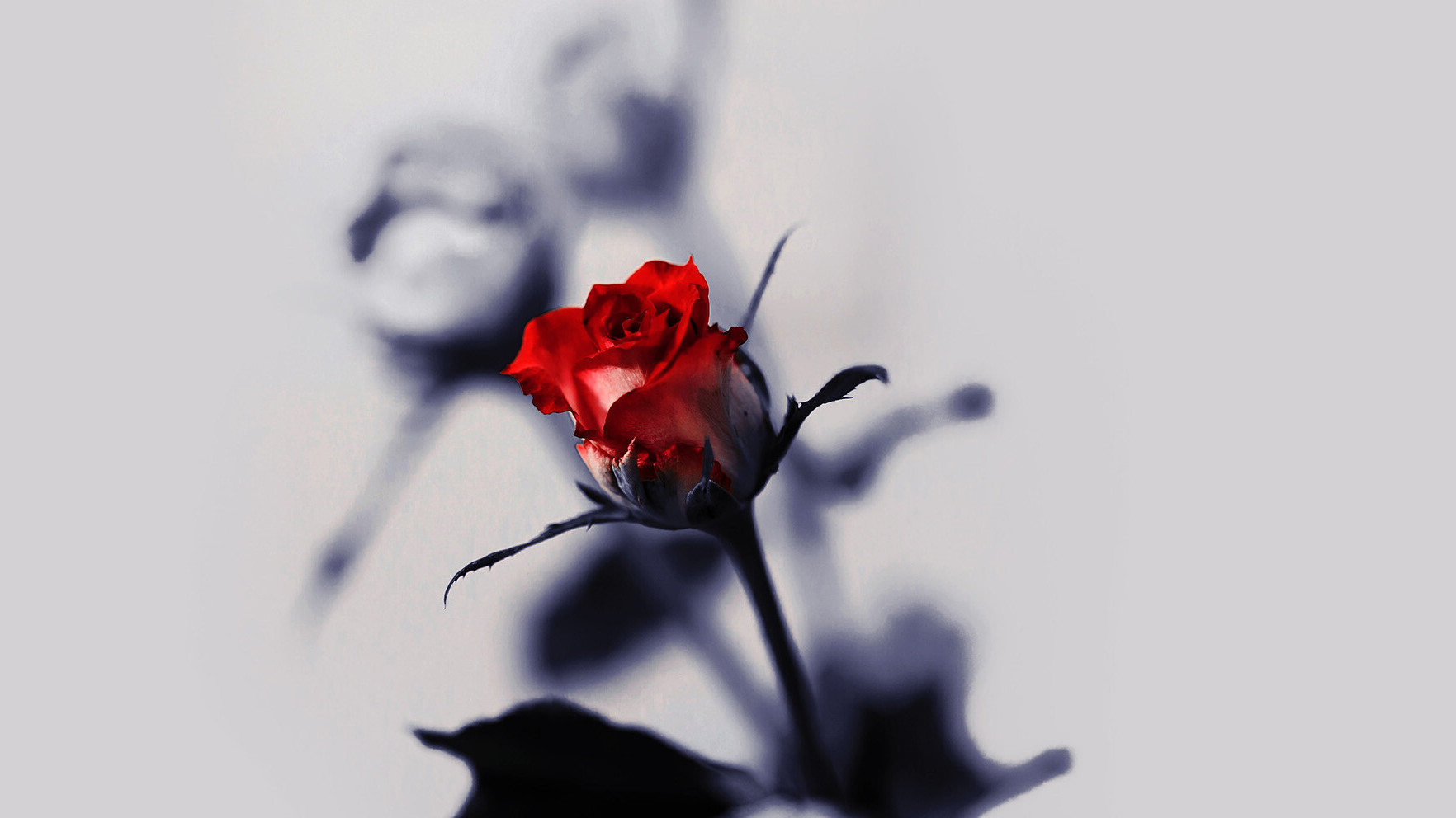 羅密歐與茱麗葉