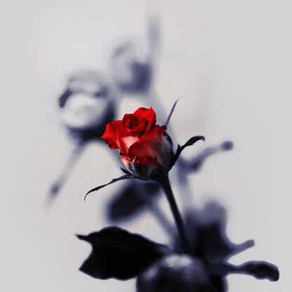 羅密歐與茱麗葉