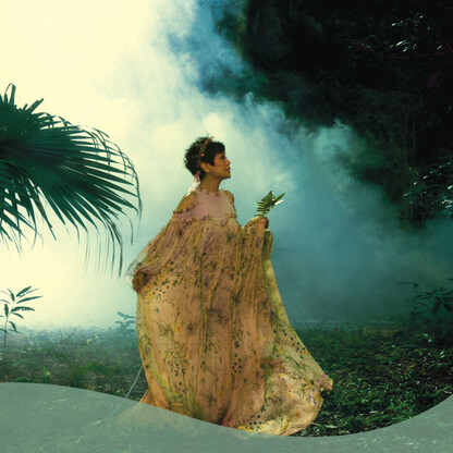 張艾嘉的仲夏夜之夢