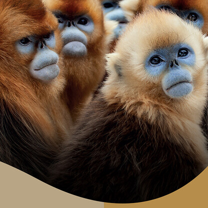 BBC七個世界，一個星球音樂會