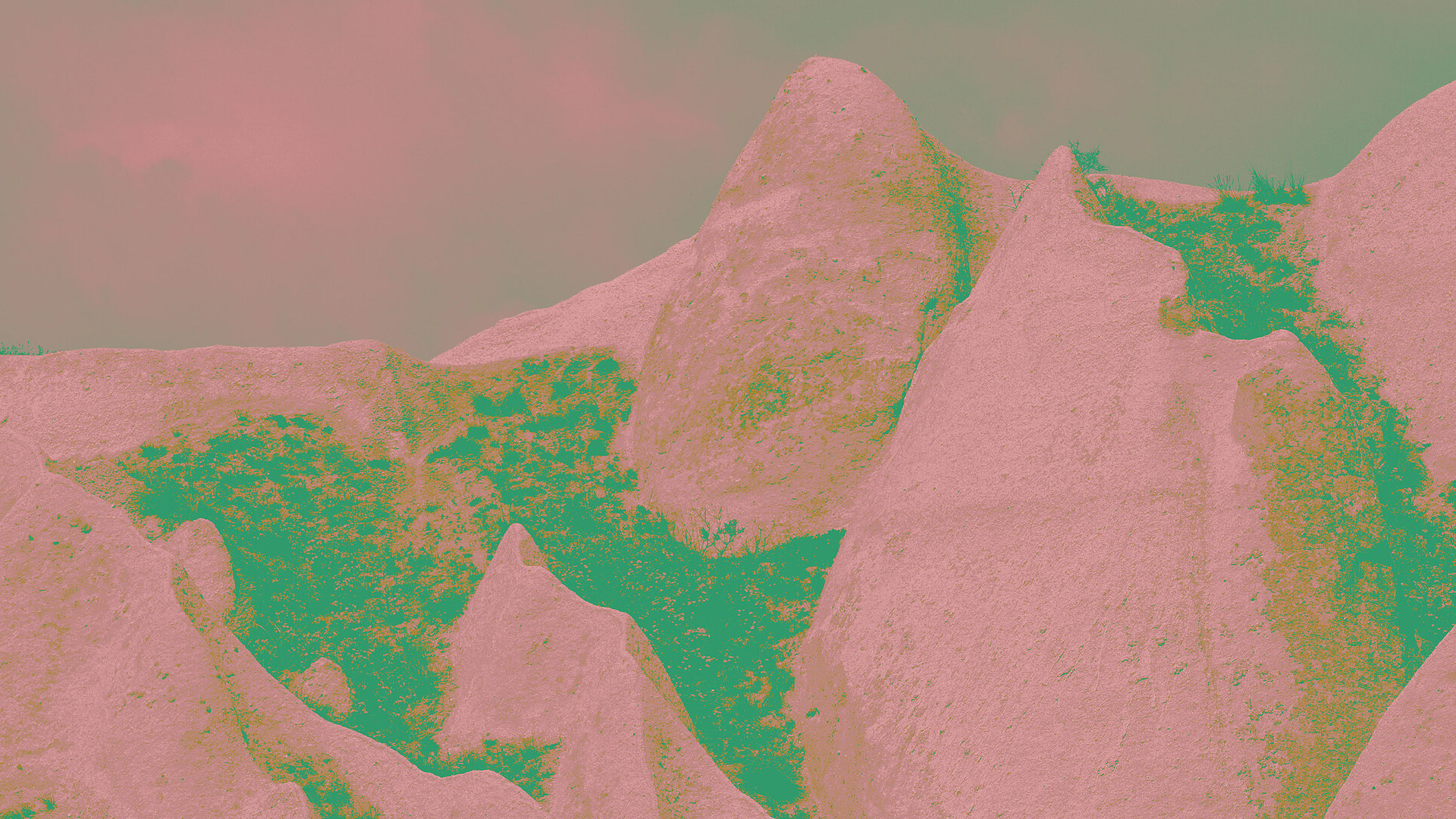 塞伊和德伏扎克作品選