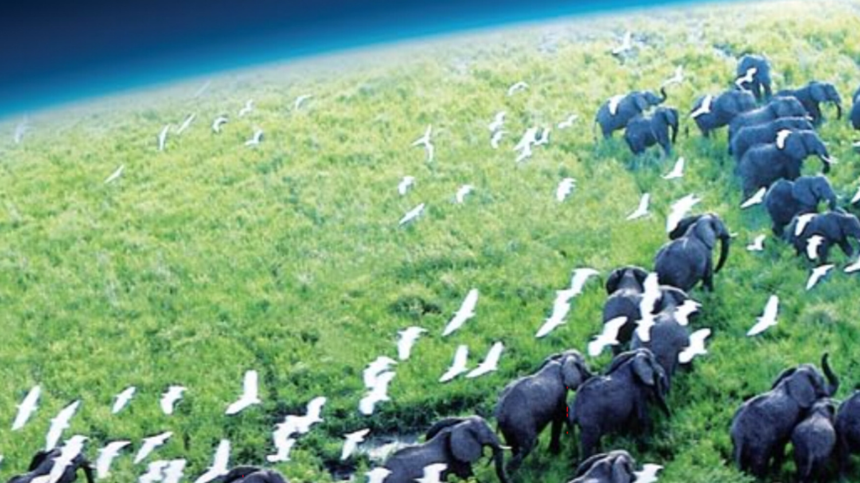 BBC《天與地》音樂會