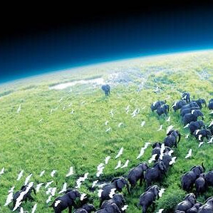 BBC《天與地》音樂會