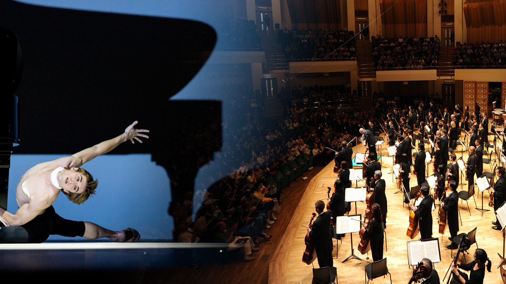 《貝多芬計劃》