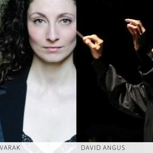 The Macallan Bravo Series 維也納新年音樂會