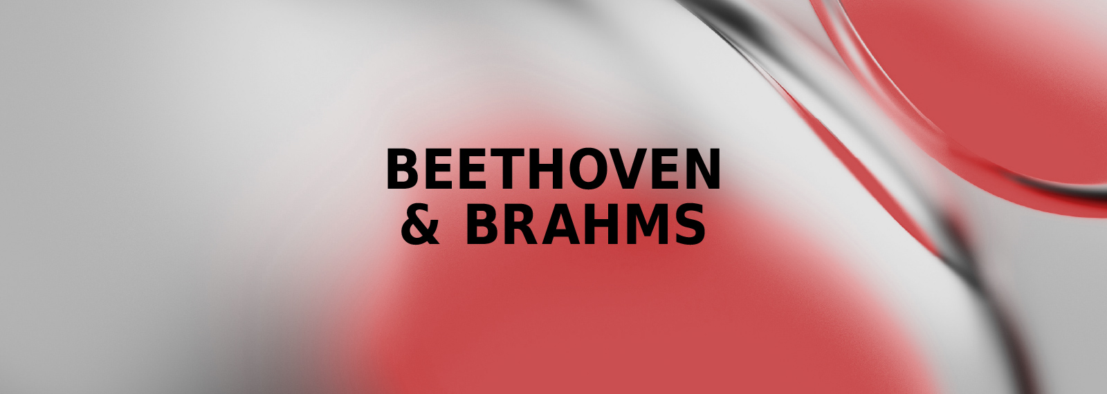Beethobe&brahms